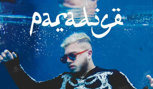 Image illustration de l'article Le nouvel album d'Hamza disponible !